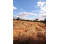 residential-plot-for-sale-in-ibex-small-0