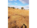 residential-plot-for-sale-in-ibex-small-3
