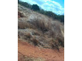 residential-plot-for-sale-in-ibex-small-5