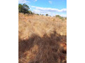 residential-plot-for-sale-in-ibex-small-9