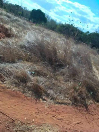 residential-plot-for-sale-in-ibex-big-5