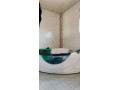 4-bedroom-house-for-sale-in-ibex-meanwood-small-5