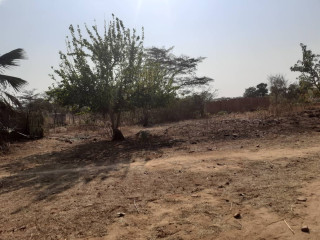 Plot For Sale In Chongwe