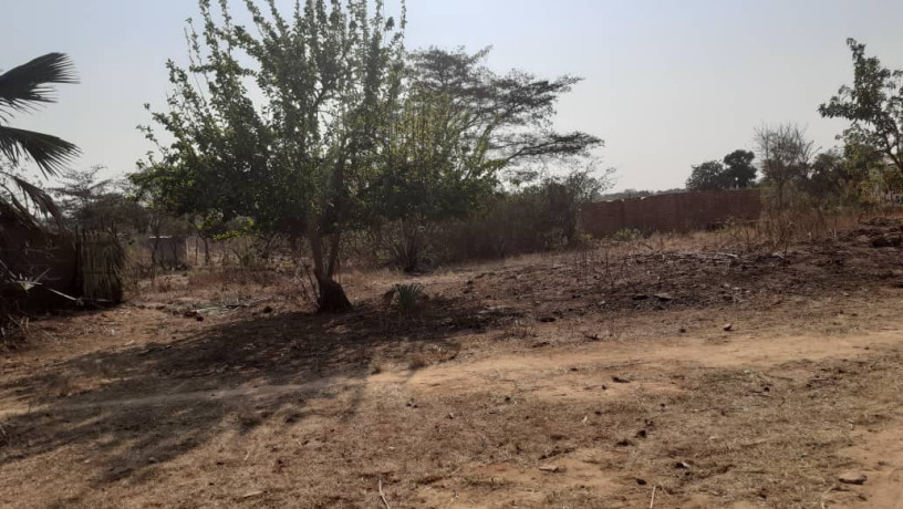 plot-for-sale-in-chongwe-big-0