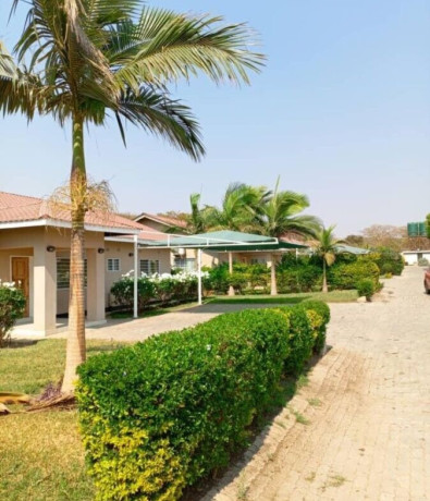 3-bedroom-house-for-rent-in-ibex-hill-big-2