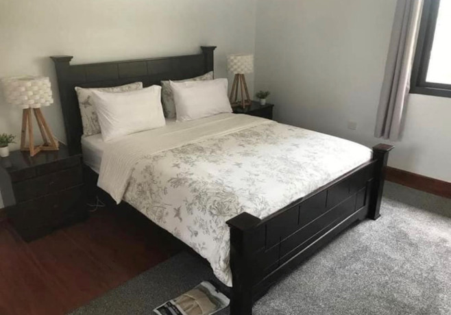 2-bedroom-apartment-for-rent-in-kabulonga-big-4
