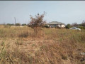 50-by-50-plot-for-sale-in-silverest-small-1