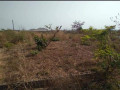 50-by-50-plot-for-sale-in-silverest-small-2