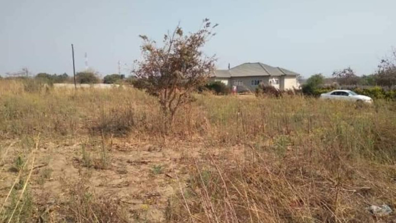 50-by-50-plot-for-sale-in-silverest-big-1