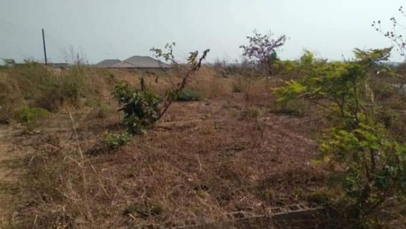 50-by-50-plot-for-sale-in-silverest-big-2