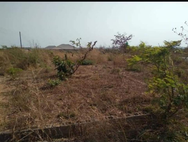 50-by-50-plot-for-sale-in-silverest-big-2