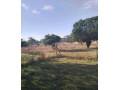 3-bedroom-house-for-sale-in-lilayi-estate-small-2