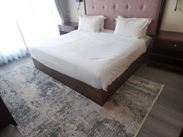 4-bedroom-apartment-for-rent-in-roma-big-2