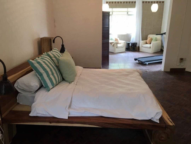 3-bedroom-house-for-rent-in-roma-big-5