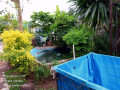 3-bedroom-house-for-sale-in-chalala-small-0