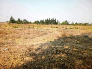 14 Acres of Land for Sale in Mumbwa