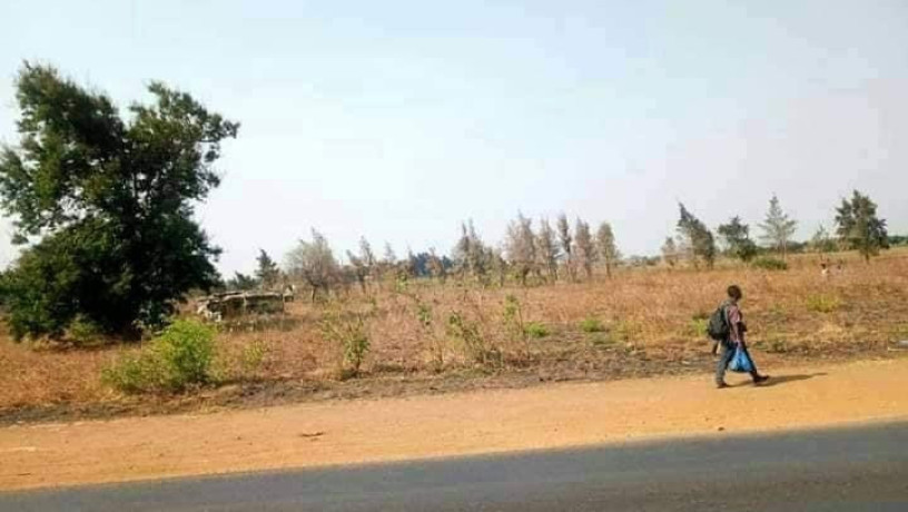 14-acres-of-land-for-sale-in-mumbwa-big-1