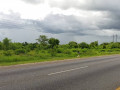 1-hectare-land-for-sale-along-mumbwa-road-small-1