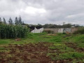 15-hectare-farm-for-sale-in-shimabala-small-5