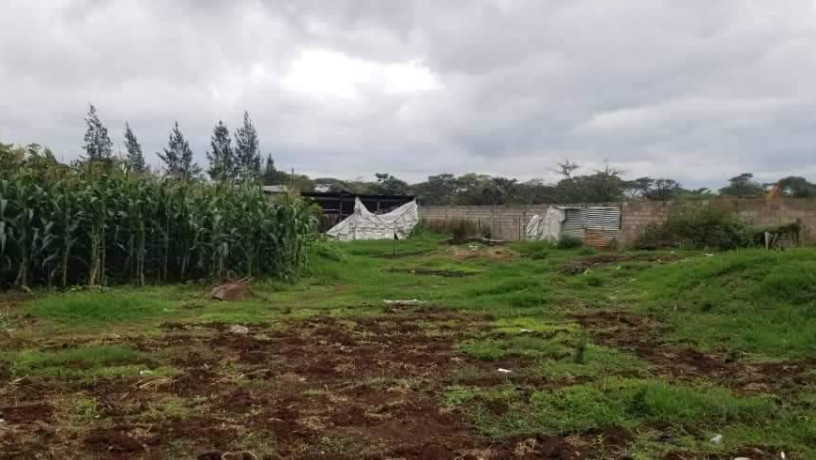 15-hectare-farm-for-sale-in-shimabala-big-5