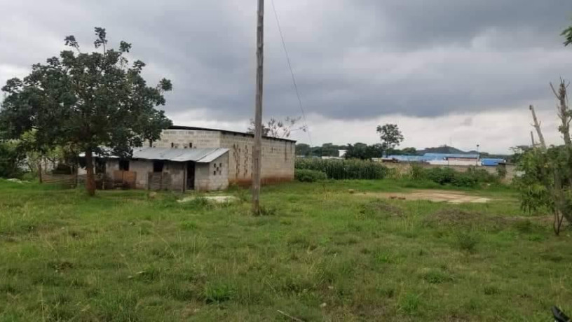 15-hectare-farm-for-sale-in-shimabala-big-0