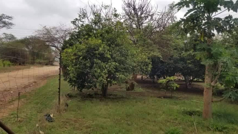 15-hectare-farm-for-sale-in-shimabala-big-4