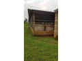 15-hectare-farm-for-sale-in-shimabala-small-3