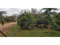 15-hectare-farm-for-sale-in-shimabala-small-4