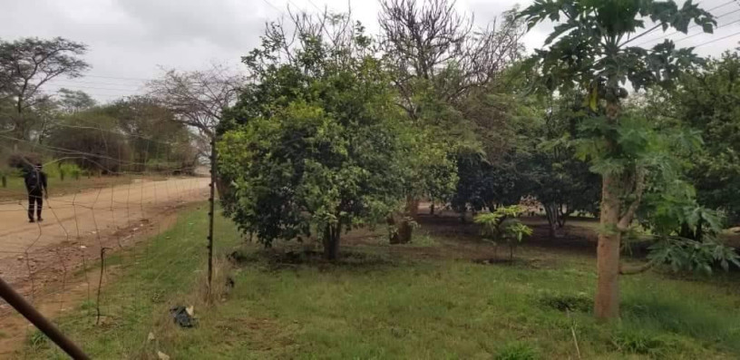 15-hectare-farm-for-sale-in-shimabala-big-4