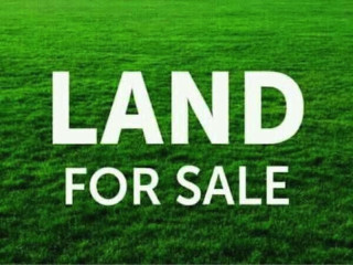 Plot for Sale in Silverest