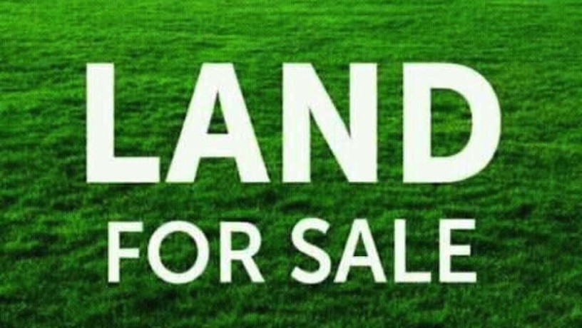 plot-for-sale-in-silverest-big-0