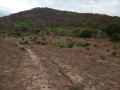 54-hectare-land-for-sale-in-rufunsa-small-0