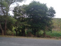 54-hectare-land-for-sale-in-rufunsa-small-3