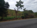 54-hectare-land-for-sale-in-rufunsa-small-2