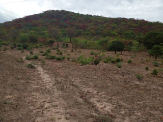 5.4 Hectare Land For Sale in Rufunsa