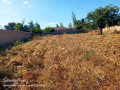 plot-for-sale-in-chalala-small-0