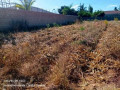 plot-for-sale-in-chalala-small-4