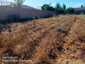 4030-plot-for-sale-in-chalala-small-4