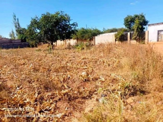 40*30 Plot For Sale in Chalala