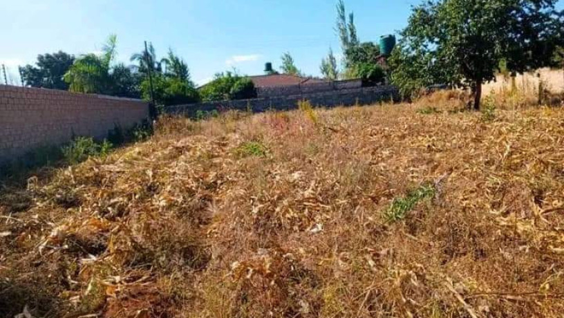 4030-plot-for-sale-in-chalala-big-2