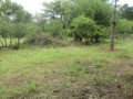 2400-sq-mt-of-land-for-sale-in-maramba-small-2