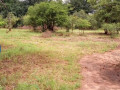 2400-sq-mt-of-land-for-sale-in-maramba-small-0