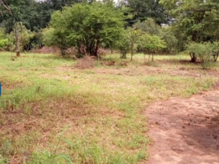 2400 Sq mt Of Land For Sale in Maramba