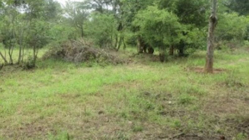 2400-sq-mt-of-land-for-sale-in-maramba-big-2