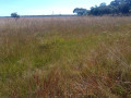 bare-land-for-sale-in-mungule-area-small-1