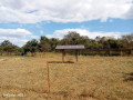 41-hectare-farm-for-sale-in-chongwe-small-2