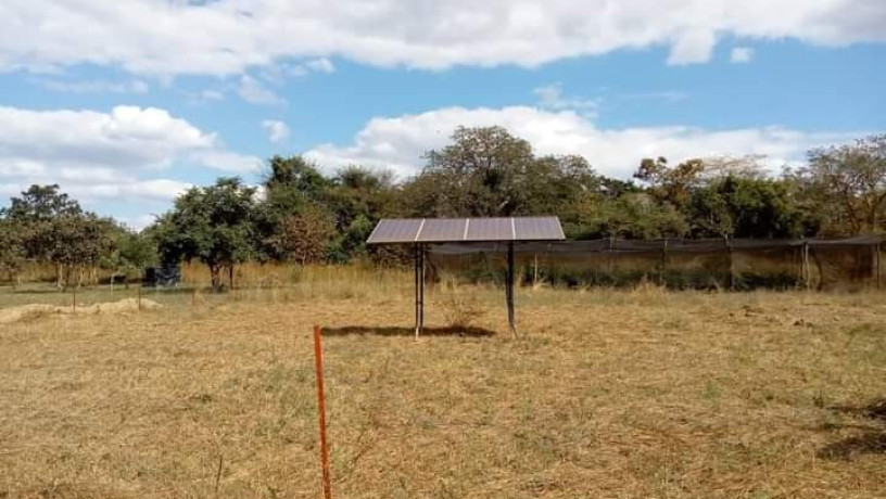 41-hectare-farm-for-sale-in-chongwe-big-2