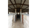 41-hectare-farm-for-sale-in-chongwe-small-0