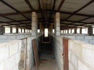 41-hectare-farm-for-sale-in-chongwe