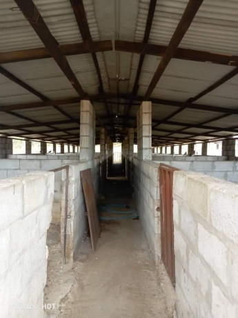 41-hectare-farm-for-sale-in-chongwe-big-0